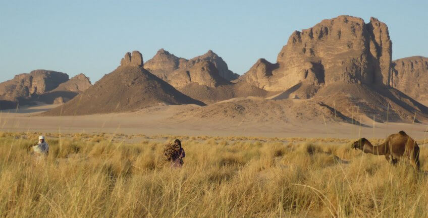 Paysage algérien migration milan noir milou opération sahara sable désert