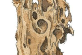 Fragment de notre «termitière» / © Laurent Willenegger