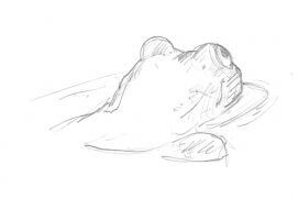 Grenouille verte / © Laurent Willenegger