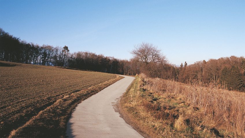 Balade de février, ambiance oiseaux - La Salamandre