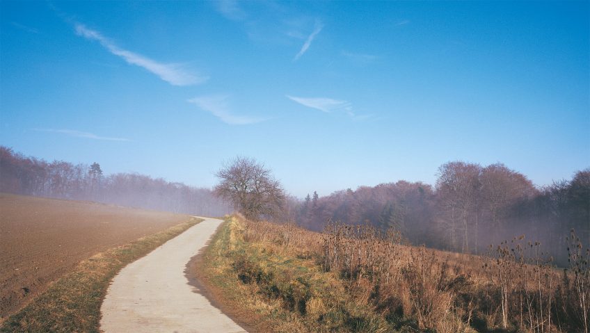 Balade de décembre, au douxième matin - La Salamandre sentier