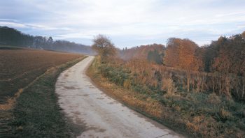 Le sentier le jeudi 16 novembre.