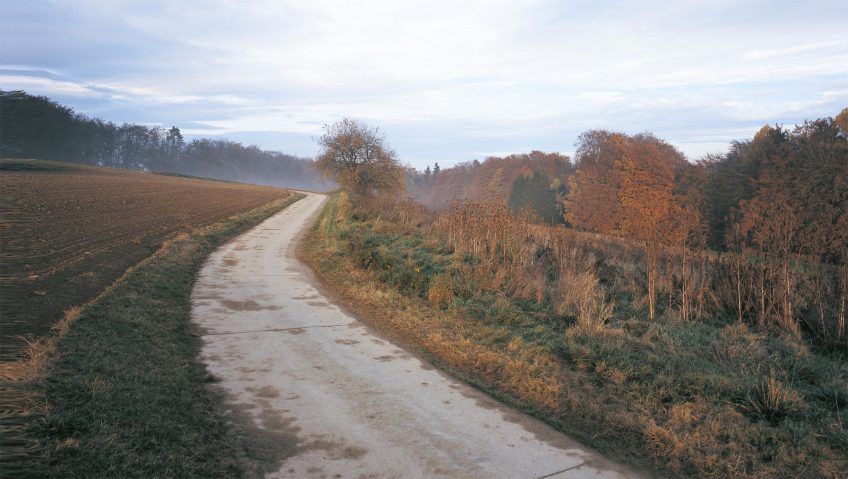 Balade de novembre, et les busards ? - La Salamandre sentier