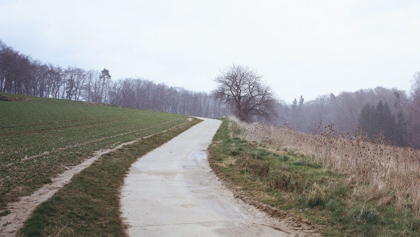 Balade de mars, coup de froid - La Salamandre sentier nature arbre