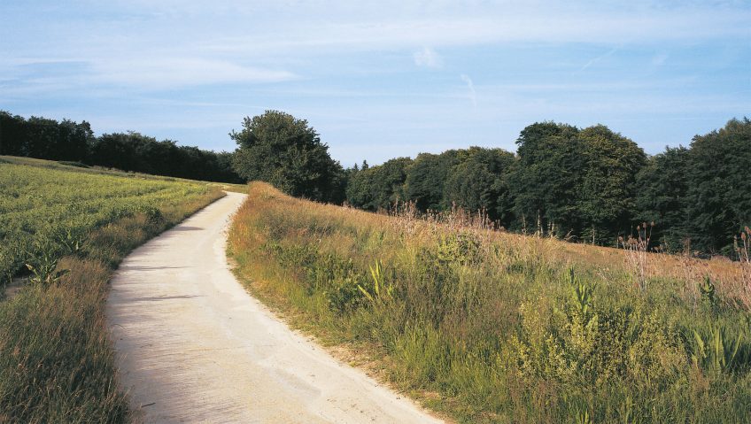 sentier Balade de mai, ivres de vie - La Salamandre