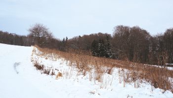 Le sentier le jeudi 25 janvier Le sentier le jeudi 25 janvier