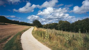 Le sentier le jeudi 5 juillet. Le sentier le jeudi 5 juillet.