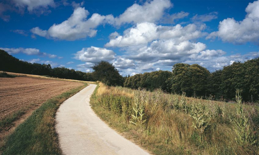 Le sentier le jeudi 5 juillet. sentier balade de juillet, enfin la pluie ! - La Salamandre