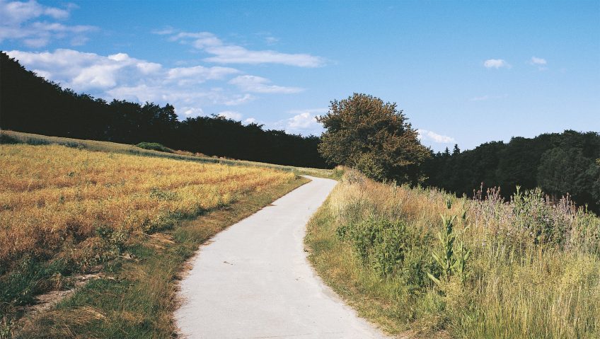 sentier balade de juin, ça sent les foins - La Salamandre