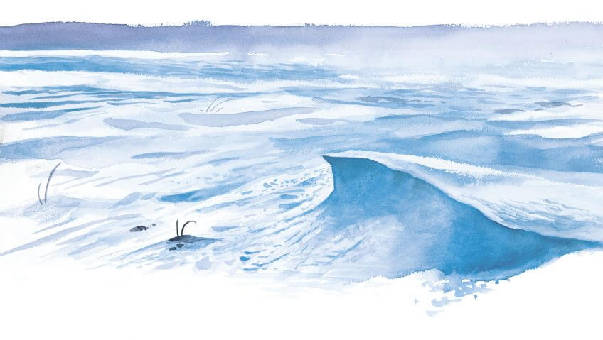 Le vent sculpte la surface du sol. Balade de janvier, au début était le vent - La Salamandre