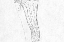 Limaces acrobates, passant d'herbe en herbe.  / © Laurent Willenegger