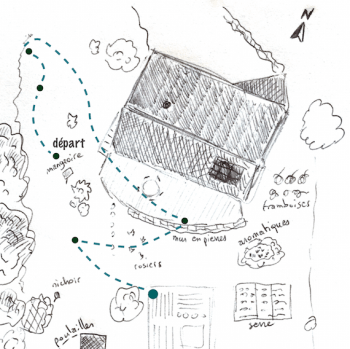 Etape 6 du Voyage au jardin. Cigognes dans le vent - La Salamandre