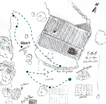 Ce soir c'est la première sortie des chauves-souris au jardin - La Salamandre