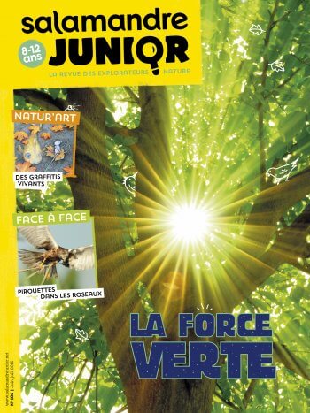 Couverture de La Salamandre Junior n°106