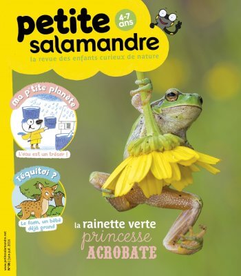 Couverture de La Petite Salamandre n°6