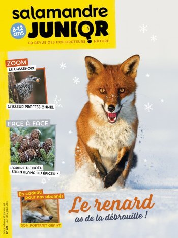 Couverture de La Salamandre Junior n°103