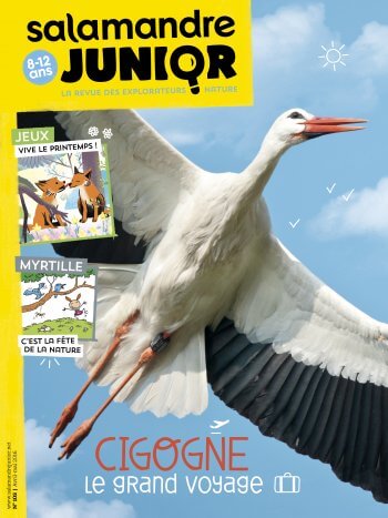 Couverture de La Salamandre Junior n°105