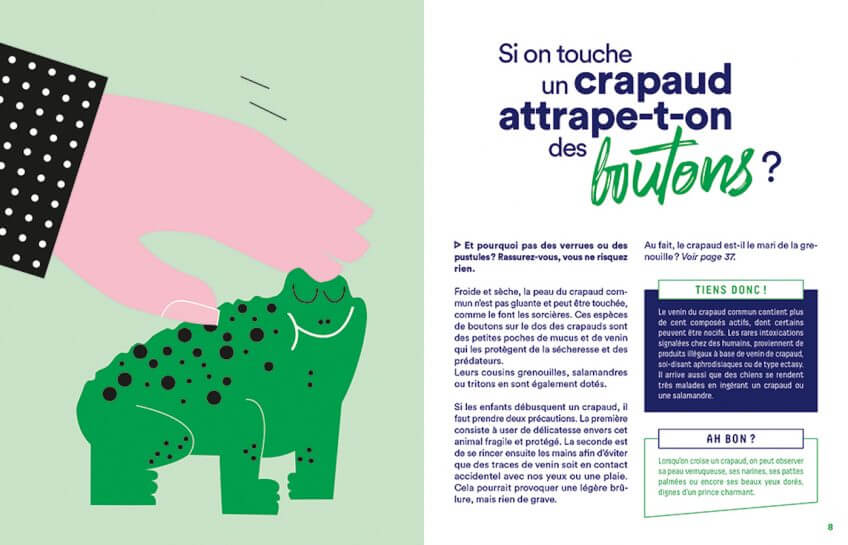 double_antiseches_crapaud