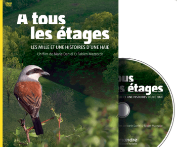 A tous les étages, un film de Marie Daniel et Fabien Mazzocco. A tous les étages - Film Salamandre