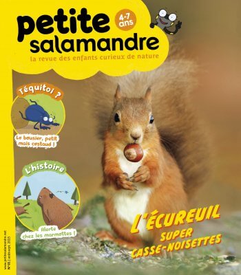 Couverture de La Petite Salamandre n°1