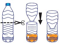 Pour construire un piège à frelon, il vous faudra une bouteille en plastique, de la bière et du sirop. schéma piège frelon asiatique eurofrelon