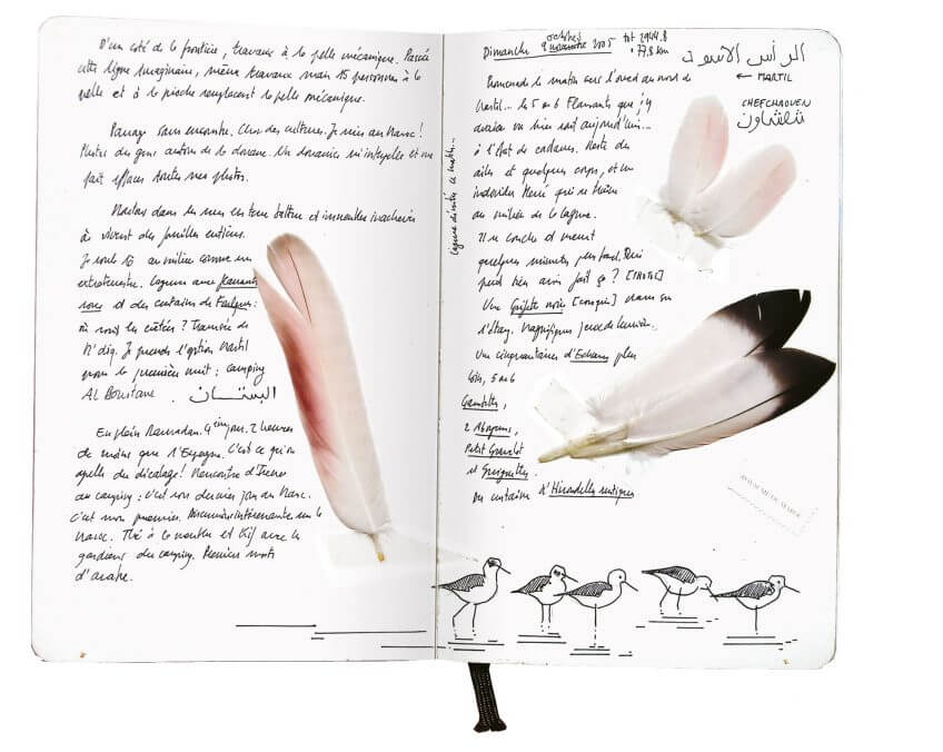Troisième étape d'un voyage en suivant les oiseaux migrateurs - La Salamandre dessin carnet route plume