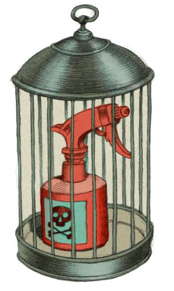 De la vie dans mes vignes - La Salamandre dessin ambroise heritier pesticide cage