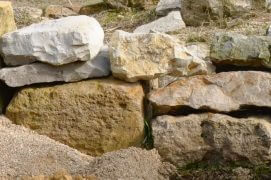 Choisissez un lieu sec et bien drainé orienté au sud ou au sud-est pour être ensoleillé la plus grande partie de la journée. L'idéal ? Au pied d’un vieux mur, d’un tas de pierres sèches ou d’un talus qui protège du vent.