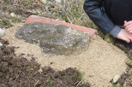Recouvrez ce talus artificiel avec les tuiles, des ardoises ou des pierres plates. Laissez une zone de sable accessible au lézard : les femelles creusent volontiers leur nid presque à l’horizontale ou en pente très douce. Le couvercle minéral absorbe la chaleur et la diffuse pendant la nuit tout en protégeant partiellement de la pluie. Et voilà, c’est fait !