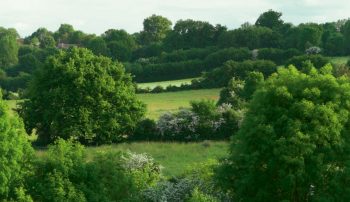 Images tirées du film "La haie à tous les étages" / © Marie Daniel et Fabien Mazzocco