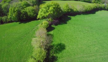 Images tirées du film "La haie à tous les étages" / © Marie Daniel et Fabien Mazzocco