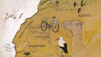 Jérôme Gremaud a suivi le voyage des oiseaux migrateurs, de France jusqu'au Mali.  Jérôme Gremaud a suivi le voyage des oiseaux migrateurs, de France jusqu'au Mali.