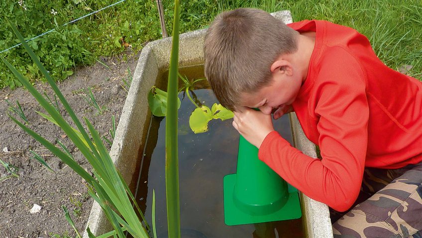 L'aquascope est un outil tout simple, qui vous permettra d'observer la vie aquatique de la mare. Comment observer facilement la vie aquatique dans une mare ?