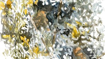 L'art de séduire selon le troglodyte, le plus petit des Don Juan L'art de séduire selon le troglodyte, le plus petit des Don Juan