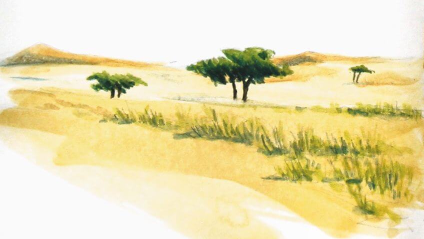 Sixième étape d'un voyage en suivant les oiseaux migrateurs - La Salamandre dessin arbre