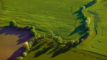 Les haies sont le trait d'union entre les forêts les prairies et les mares.  / © Marie Daniel et Fabien Mazzocco