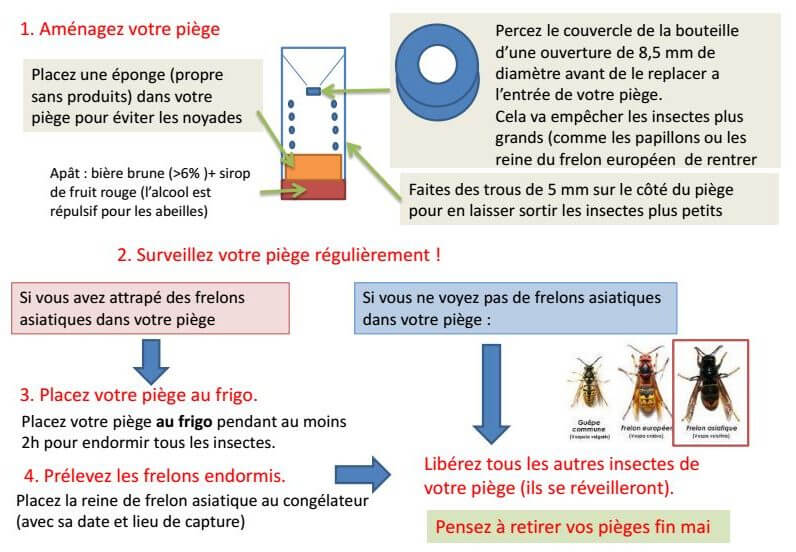 piège frelon asiatique eurofrelon schéma