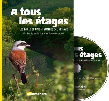 La haie à tous ses étages, un film de La Salamandre dvd pie-grièche
