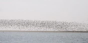 Sur la route entre Erg Chebi et Iwik. / © Jérôme Gremaud