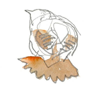 Troglodyte mignon / © Denis Clavreul