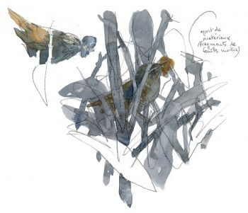 Un couple de troglodytes mignons / © Denis Clavreul