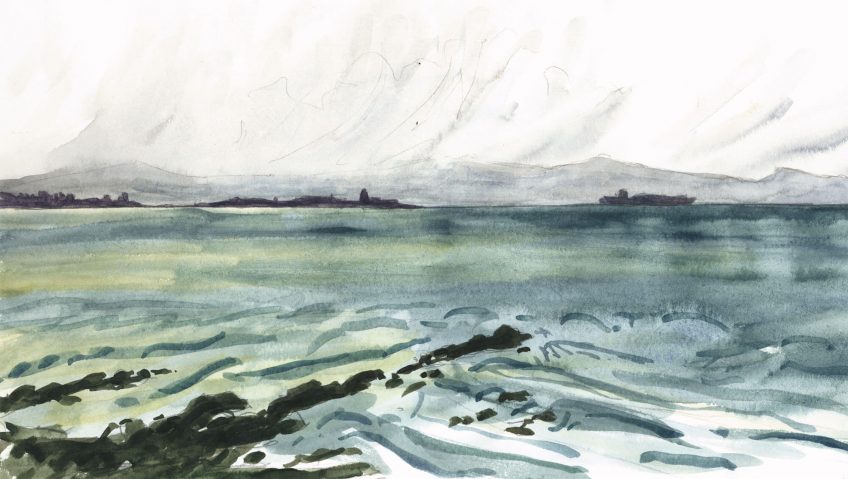 Troisième étape d'un voyage en suivant les oiseaux migrateurs - La Salamandre mer dessin