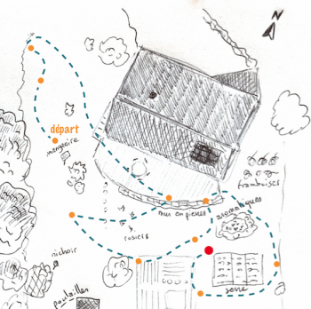 L'abeille maçonne et l'araignée tueuse - La Salamandre