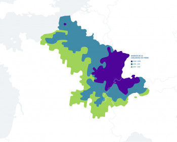Zone touchée par la chalarose du frêne en Suisse et en France en 2012-2013 / © Cartographie : Ministère de l’agriculture de l’agroalimentaire et de la forêt - Département de la santé des forêts (DSF) / INRA (ephythia.inra.fr) / Institut fédéral de recherches WSL.