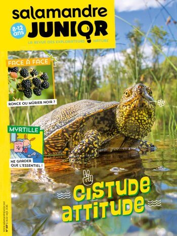 Couverture de La Salamandre Junior n°107