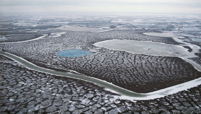 Grand Sud versus grand Nord, d'un extrême à l'autre avec les migrateurs - La Salamandre