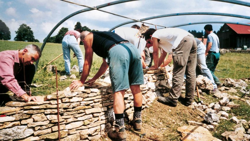 Relève bienvenue pour les murs de pierre- La Salamandre benevole