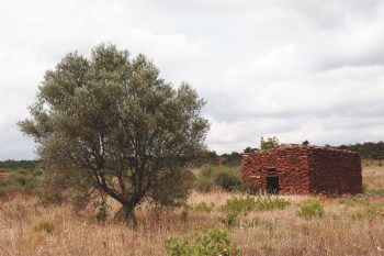 Cabane de la région de St-Jean-de-la-Blaquière / © Gilbert Hayoz