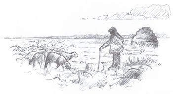 Cabane de pierre dans l'Hérault A l’abri des cabanes de pierres - La Salamandre dessin berger