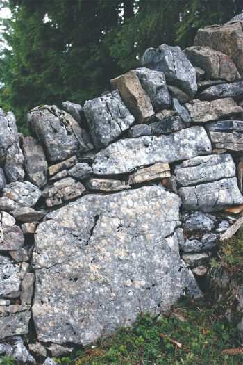 Conquérir le minéral - La Salamandre